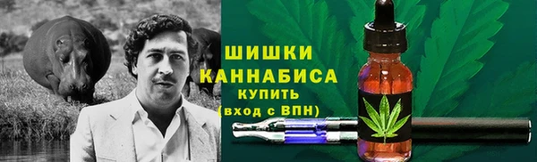 трава Арсеньев