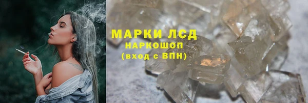 трава Арсеньев