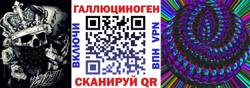 Галлюциногенные грибы Psilocybe  Темрюк 